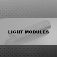 Light Module