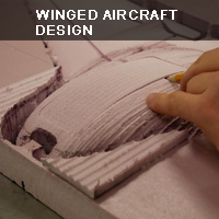 cover-winged aircraft design