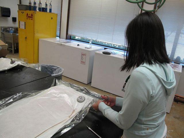 IMG 4679