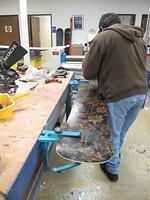 IMG 4921