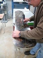 IMG 4931
