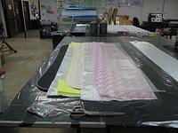 IMG 4652