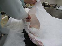 IMG 4688
