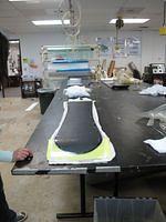 IMG 4704