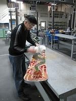 IMG 8427