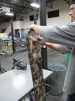 IMG 8725